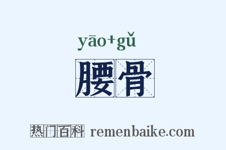 腰骨是什么意思的图片
